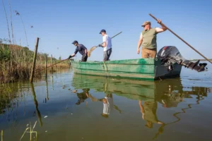 Jungfischmonitoring des AVN am Dümmer