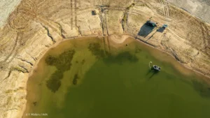 Unbekannter Baggersee bei Hannover - Fischbestandserhebung