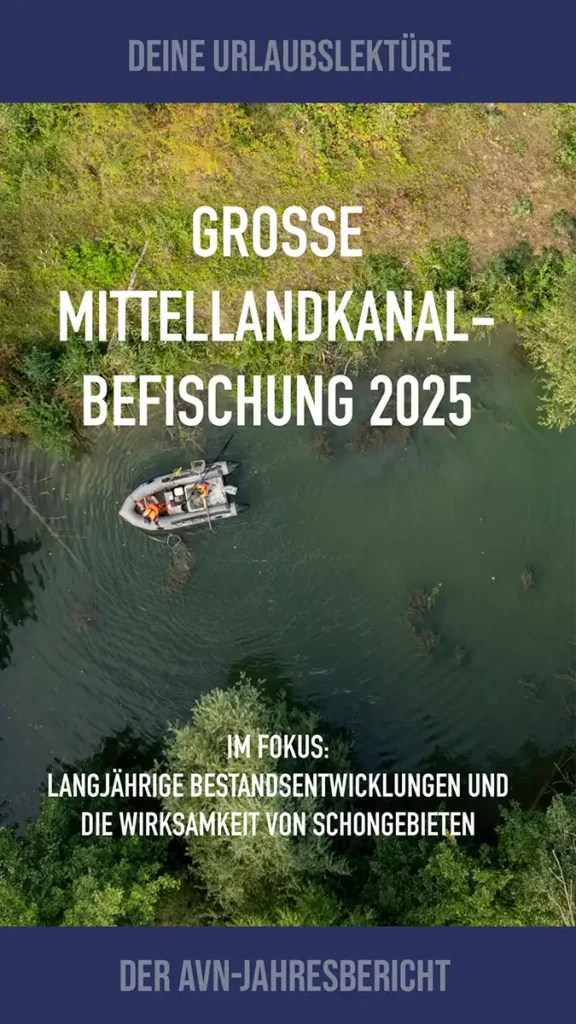 260710_Post_GB2